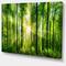 Designart - Forest with Rays of Sun Panorama - Landscape Art Print Canvas